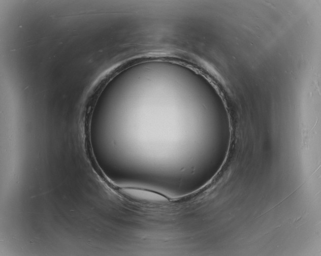 X0000112141456200908071046