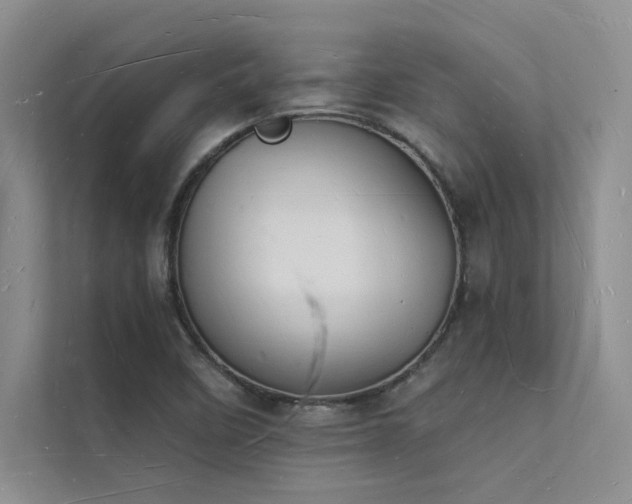 X0000112141458200908071046