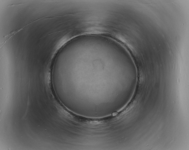 X0000112141459200908071046