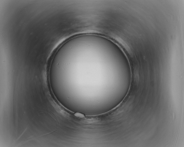 X0000112141460200908071046