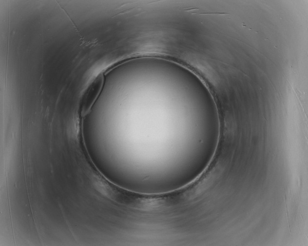 X0000112141461200908071046