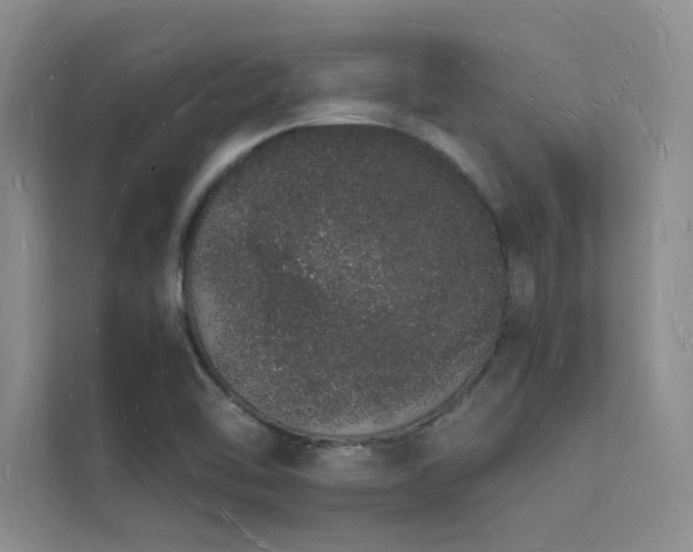 X0000112141462200908071046