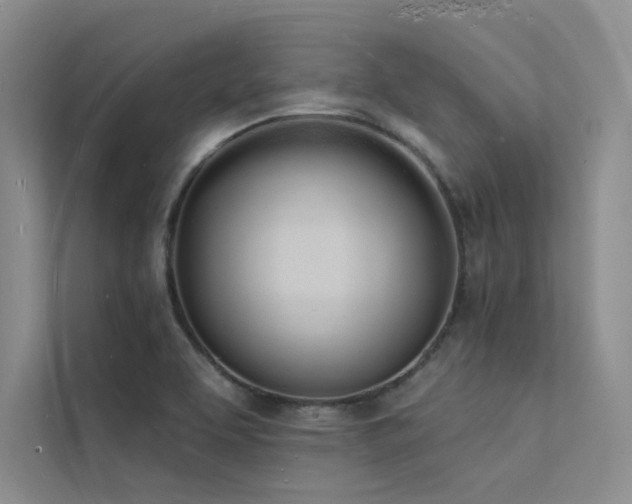 X0000112141463200908071046