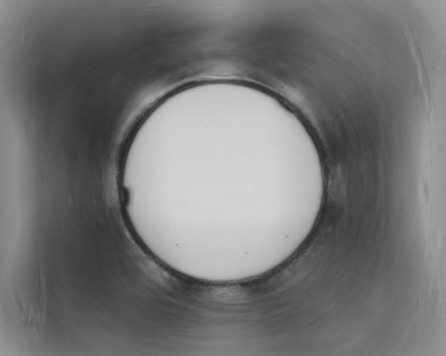 X0000112141464200908071046