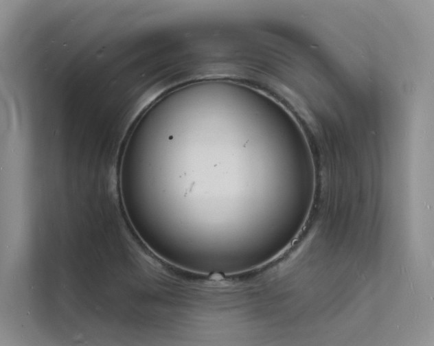 X0000112141465200908071046