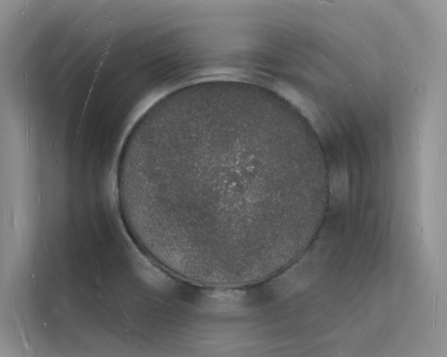 X0000112141466200908071046