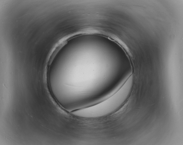 X0000112141477200908071046