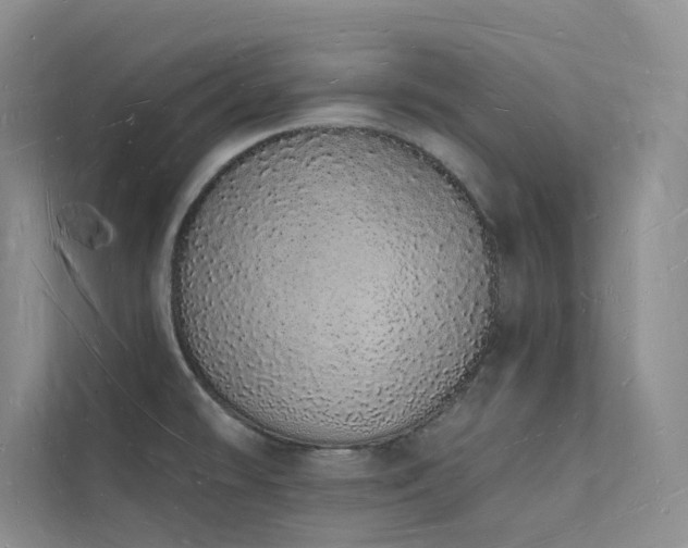 X0000112141478200908071046