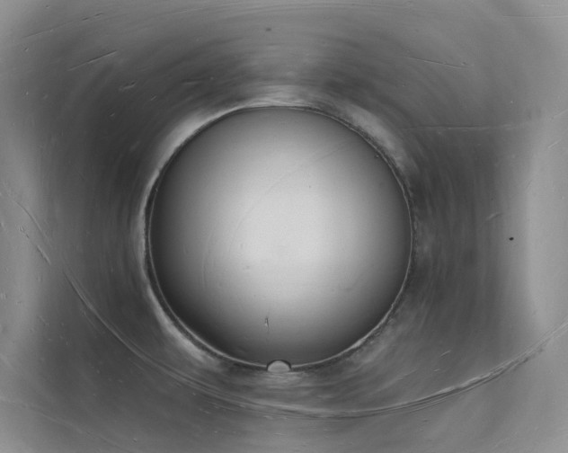 X0000112141479200908071046