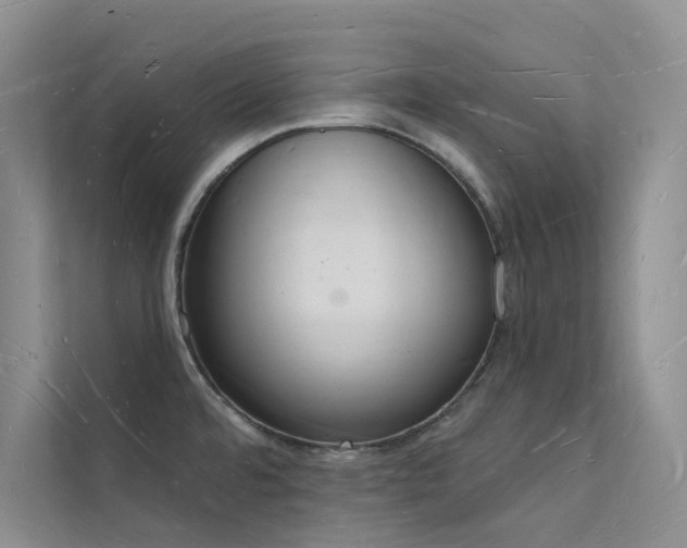 X0000112141480200908071046