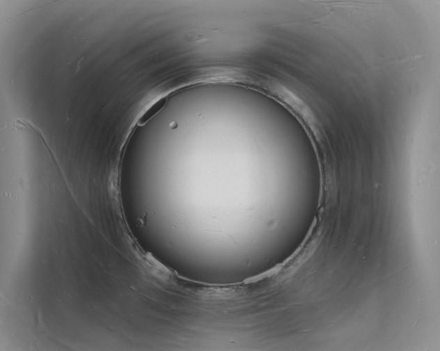X0000112141481200908071046