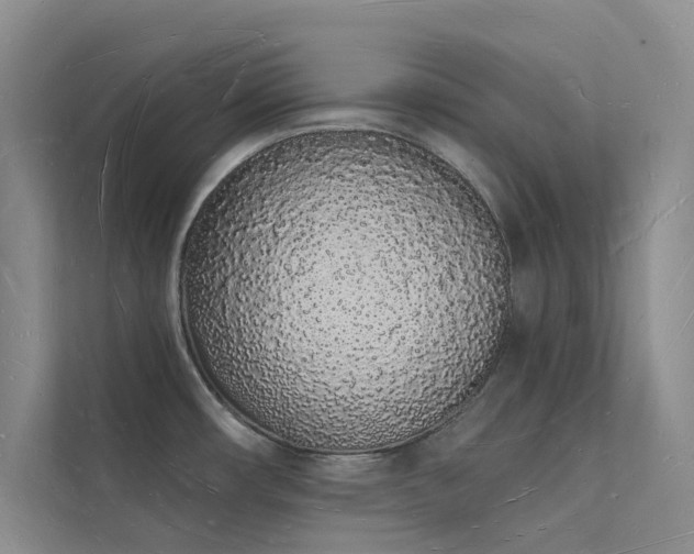 X0000112141482200908071046