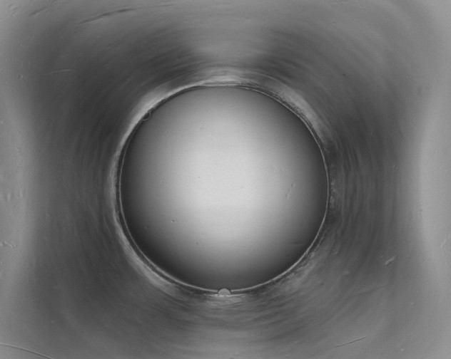 X0000112141483200908071046