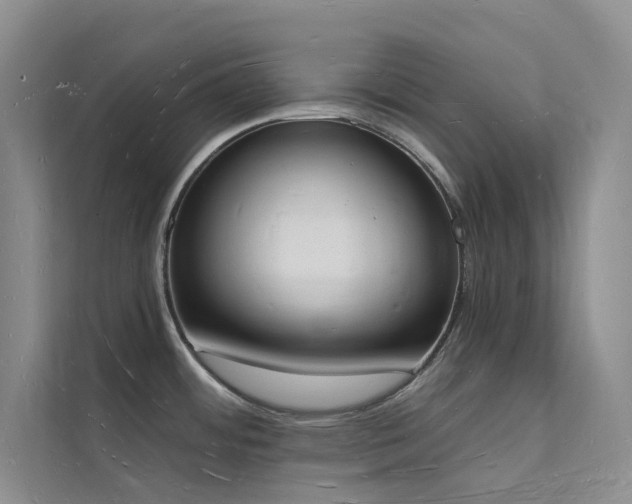 X0000112141484200908071046