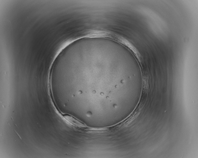 X0000112141487200908071046