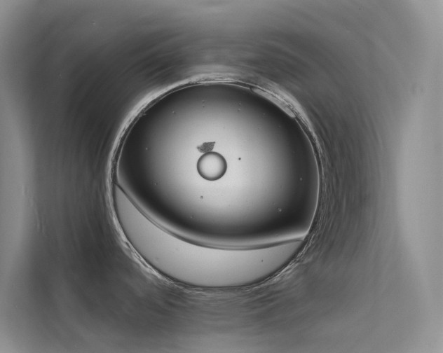 X0000112141488200908071046