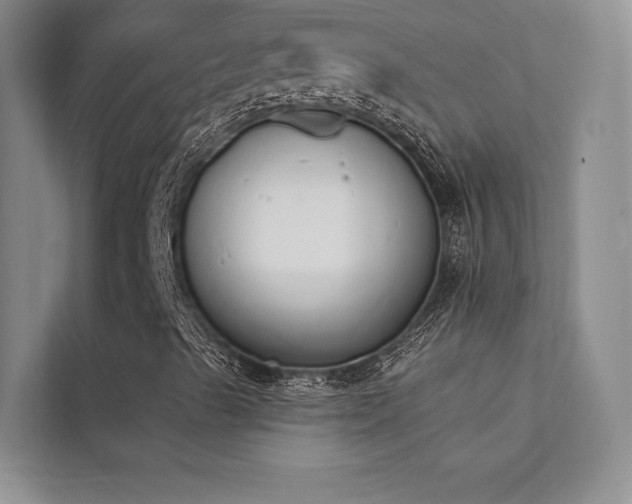 X0000112141489200908071045