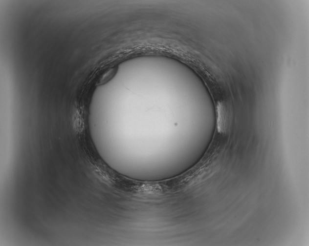 X0000112141491200908071045