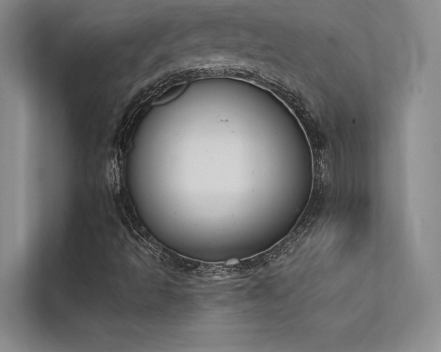 X0000112141493200908071045