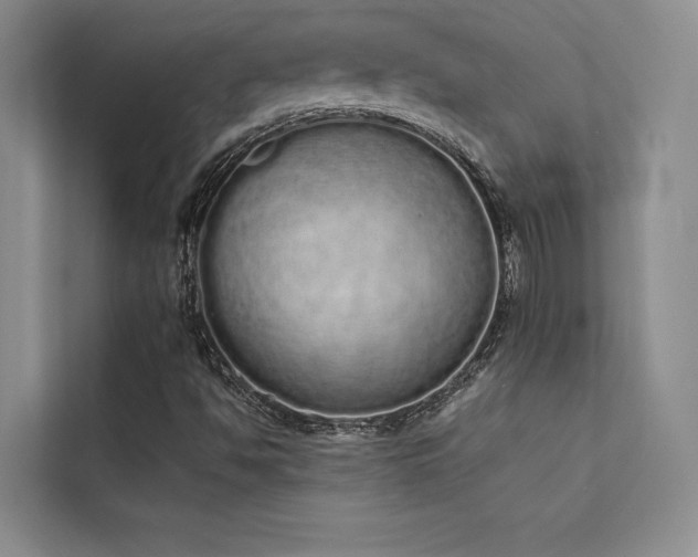 X0000112141494200908071045
