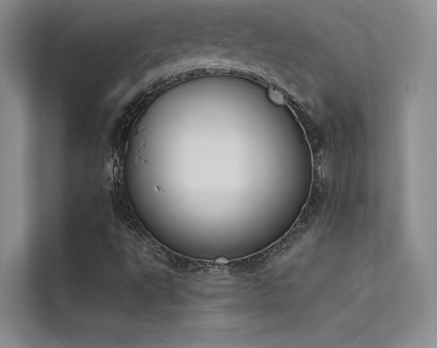 X0000112141495200908071045