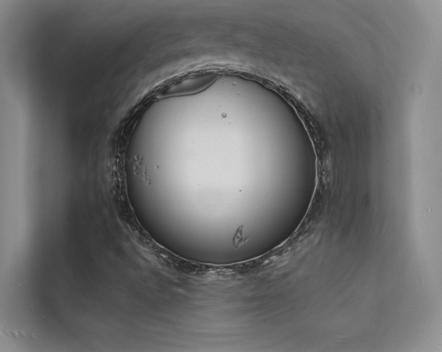 X0000112141496200908071045