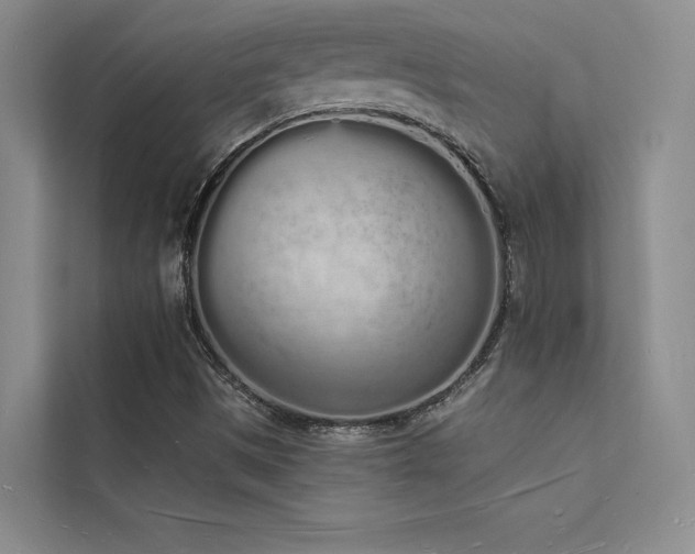 X0000112141497200908071045