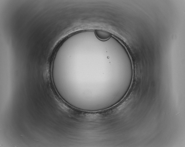 X0000112141498200908071045