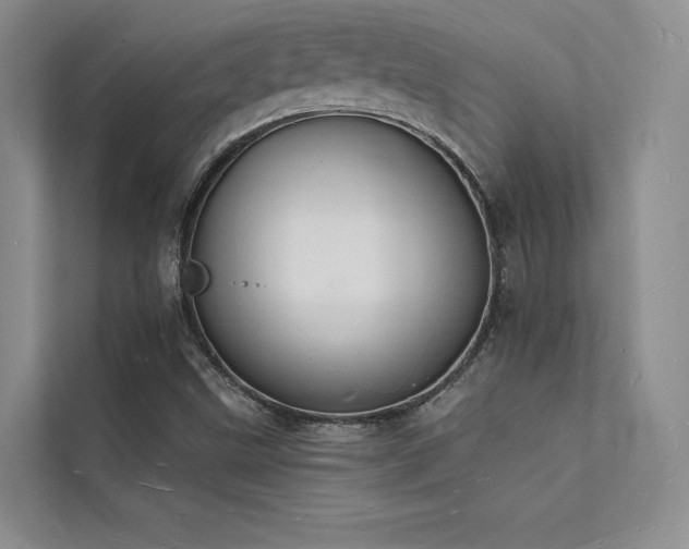 X0000112141499200908071045