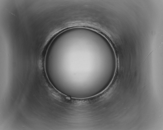 X0000112141501200908071045