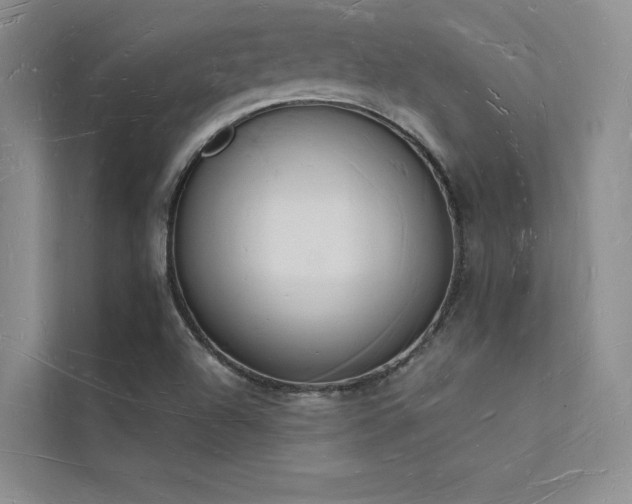 X0000112141504200908071045