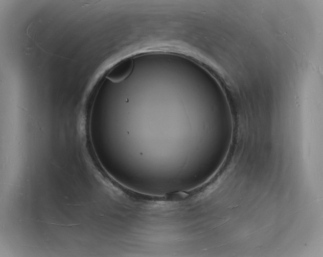 X0000112141506200908071045