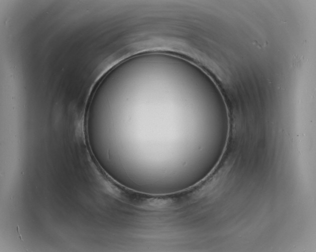 X0000112141513200908071045