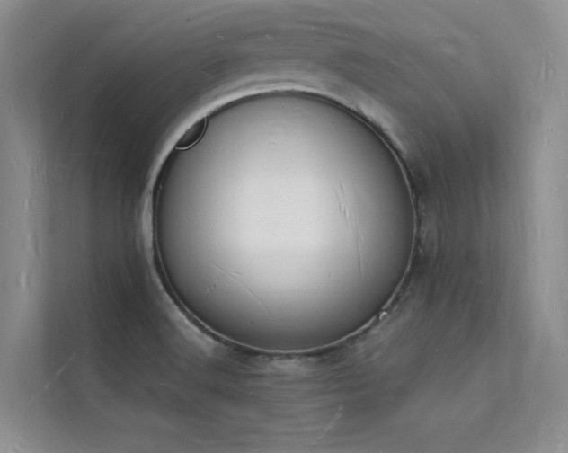 X0000112141516200908071045