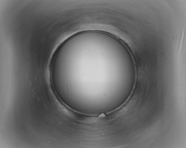 X0000112141517200908071045