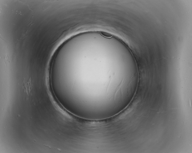 X0000112141518200908071045