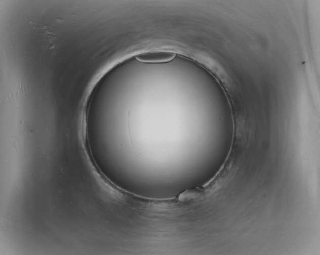 X0000112141520200908071045
