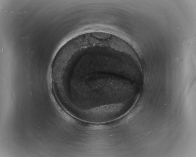 X0000112141522200908071045