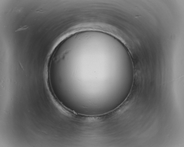 X0000112141523200908071045