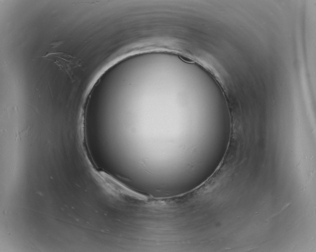 X0000112141524200908071045