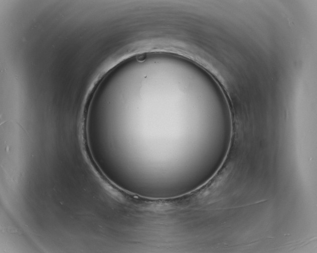 X0000112141525200908071045