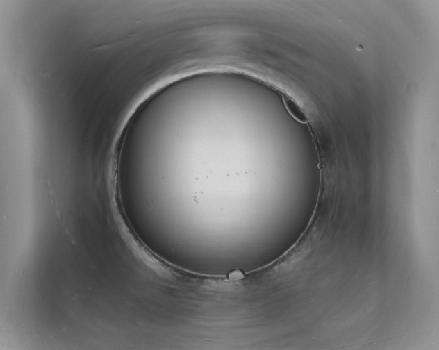 X0000112141526200908071045
