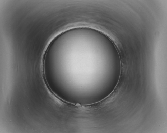 X0000112141527200908071046