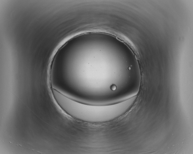 X0000112141528200908071046
