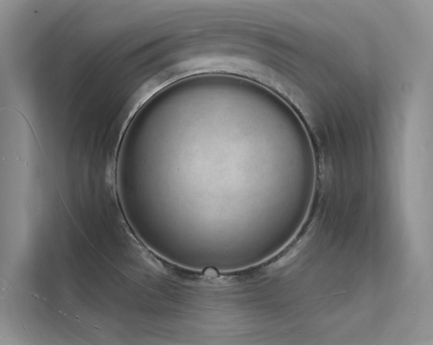 X0000112141529200908071046