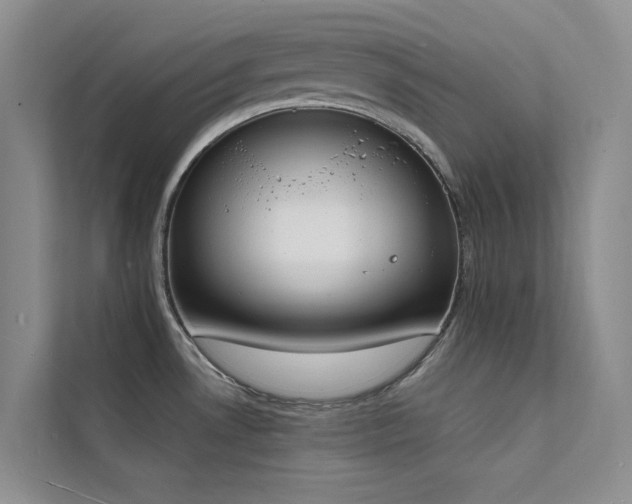 X0000112141530200908071046