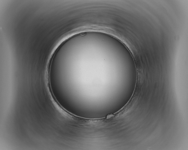 X0000112141531200908071046