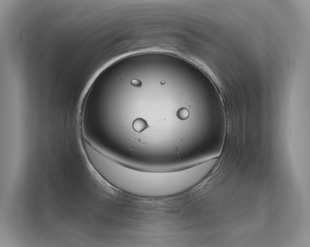 X0000112141532200908071046