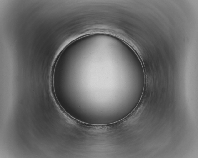 X0000112141533200908071046