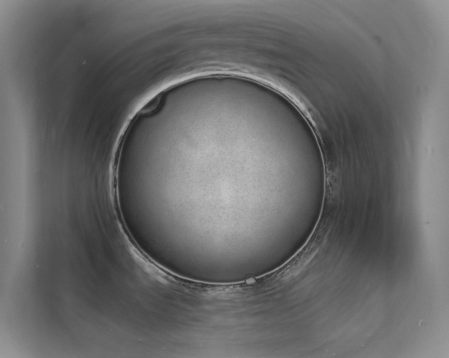 X0000112141535200908071046